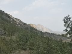 -龙泉寺
