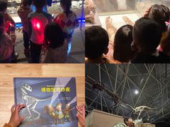 -世界恐龙谷景区