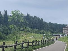 -武陵山森林公园