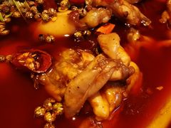 -宽口美蛙鱼头(大唐西市店)