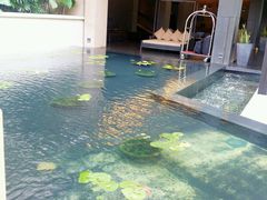android_upload_pic-普吉岛卡塔阿维斯塔诺富特酒店度假村
