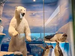 -国家自然博物馆