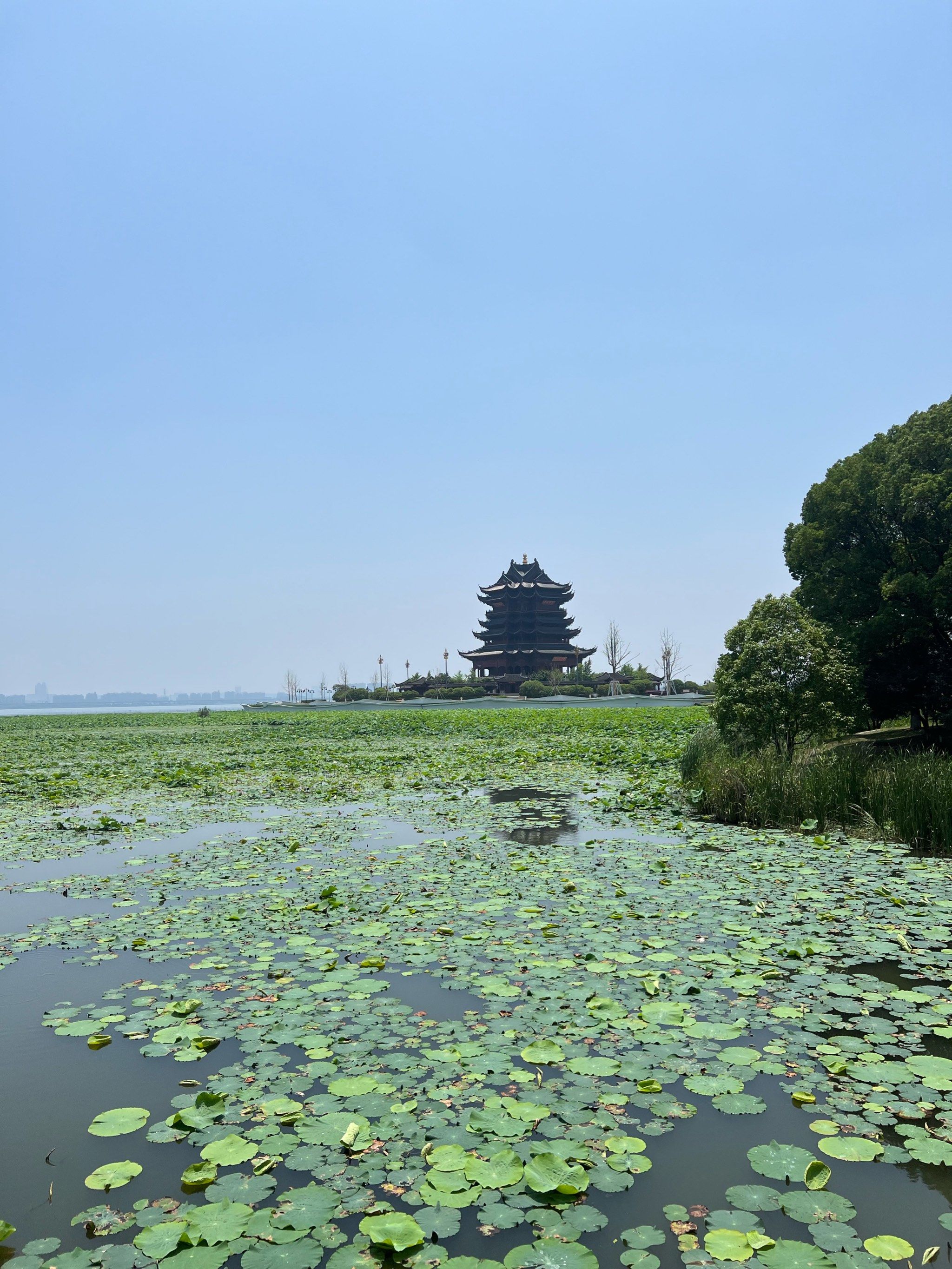 阳澄湖的寺庙重元寺,亚洲最大的室内观音