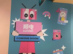 -sundanpulse顺电·脉(海岸城购物中心店)