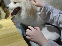 -剧狐剧本杀(徐汇1号店)