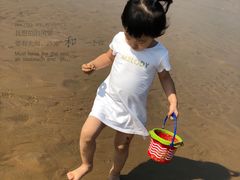 -日照海滨国家森林公园