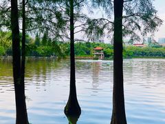 -深圳龙潭公园