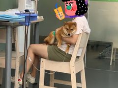 -爱侣宠医·鹦鹉专科·小型哺乳类·异宠专科(灵石路店)