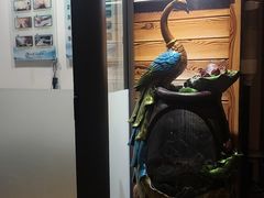 -竹雀古法采耳(青岛麦凯乐店)
