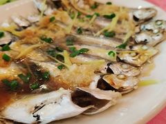 -新渔享海鲜餐厅(广海渔人码头店)