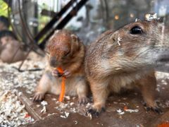 -珠海海泉湾神秘岛亲子乐园