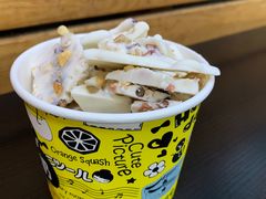 -初心炒酸奶(厚德品园店)