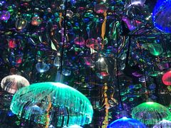 -上海梵高星空艺术馆(南京路旗舰店)