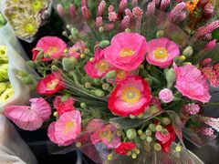 -双季花艺园艺市场(浦东店)