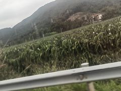 -后海村