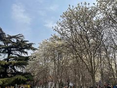 -睦南公园