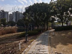 -新江湾城公园
