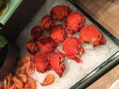 -富力希尔顿酒店·地阔自助餐厅