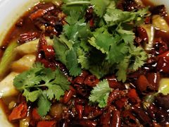 -辛香汇(飞洲店)