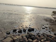 -宝安西湾红树林湿地公园