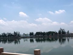 -龙舟池