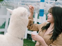 -Blue Concept Cafe&Farm·關於藍