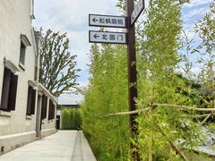 -上海滨江森林公园