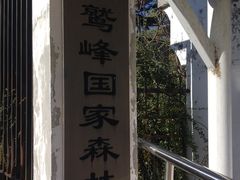 -北京鹫峰国家森林公园