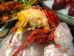 -赤甲皇(仙霞路店)