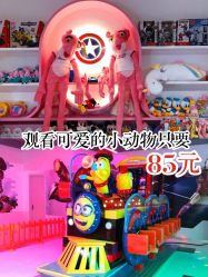 -宝燕乐园(闵行旗舰店)