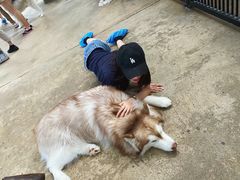 -TrueLove @ Neverland (Husky Cafe)