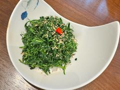 凉拌苜蓿-靖远尕六美味羊羔肉