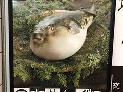 -玄品河豚(那覇國際通里之関)