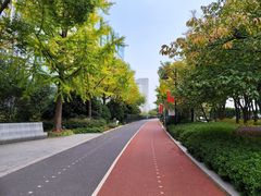 -北外滩滨江绿地