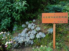 -寂照庵