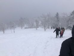 -大秃顶子山(雪谷店)