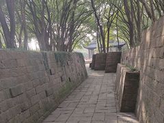 -上海方塔园