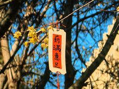 -万寿八仙宫