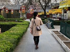 -白家大院·王府宫廷菜(苏州街店)