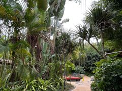 -台山颐和温泉城