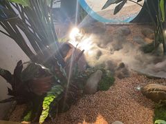 -相遇·鲜炒黄牛肉(丹阳吾悦广场店)