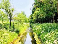 -前小桔亲子创意农场·草莓采摘·露营烧烤