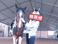 -大连凯洋马术俱乐部有限公司
