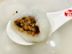-海丝金凤(金鱼店)