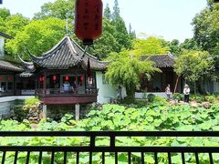 -上海醉白池公园