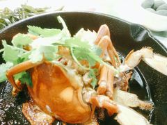 香煎蟹-鑫阿强海鲜大排档·老厦门特色菜(中山路店)