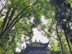 -青城山