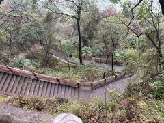 -窦圌山风景区