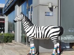 -ZOO COFFEE 动物园咖啡(亦庄店)