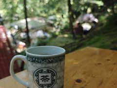-凤栖山